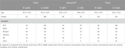 Assessment of intracranial aneurysm rupture risk using a point cloud-based deep learning model